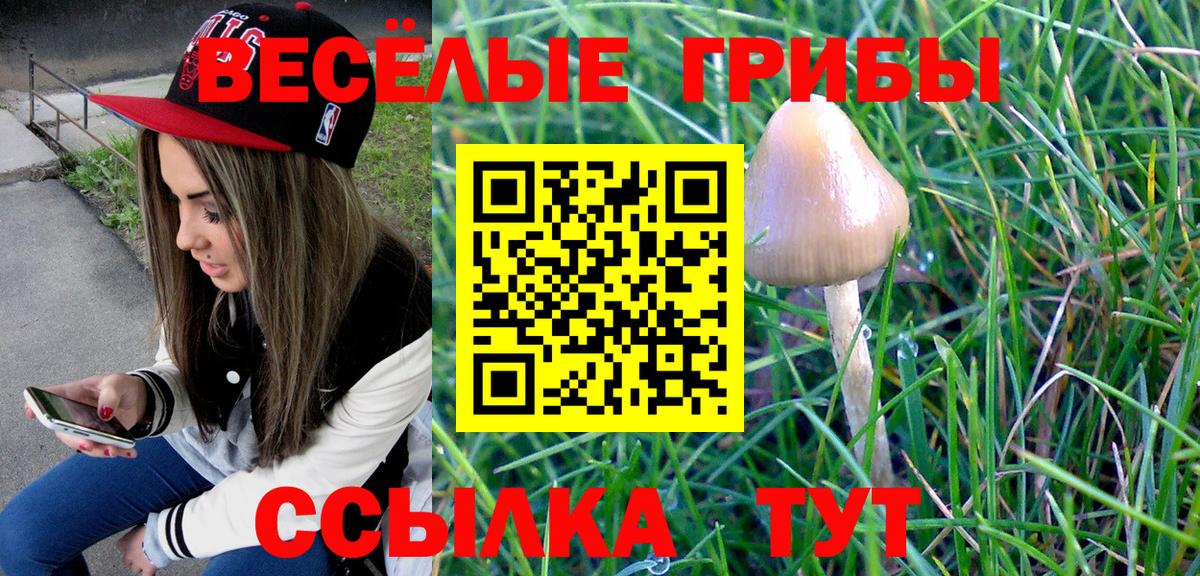 Галлюциногенные грибы Cubensis Урюпинск